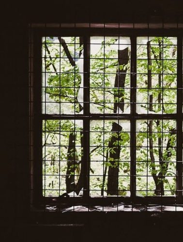 view out prison window