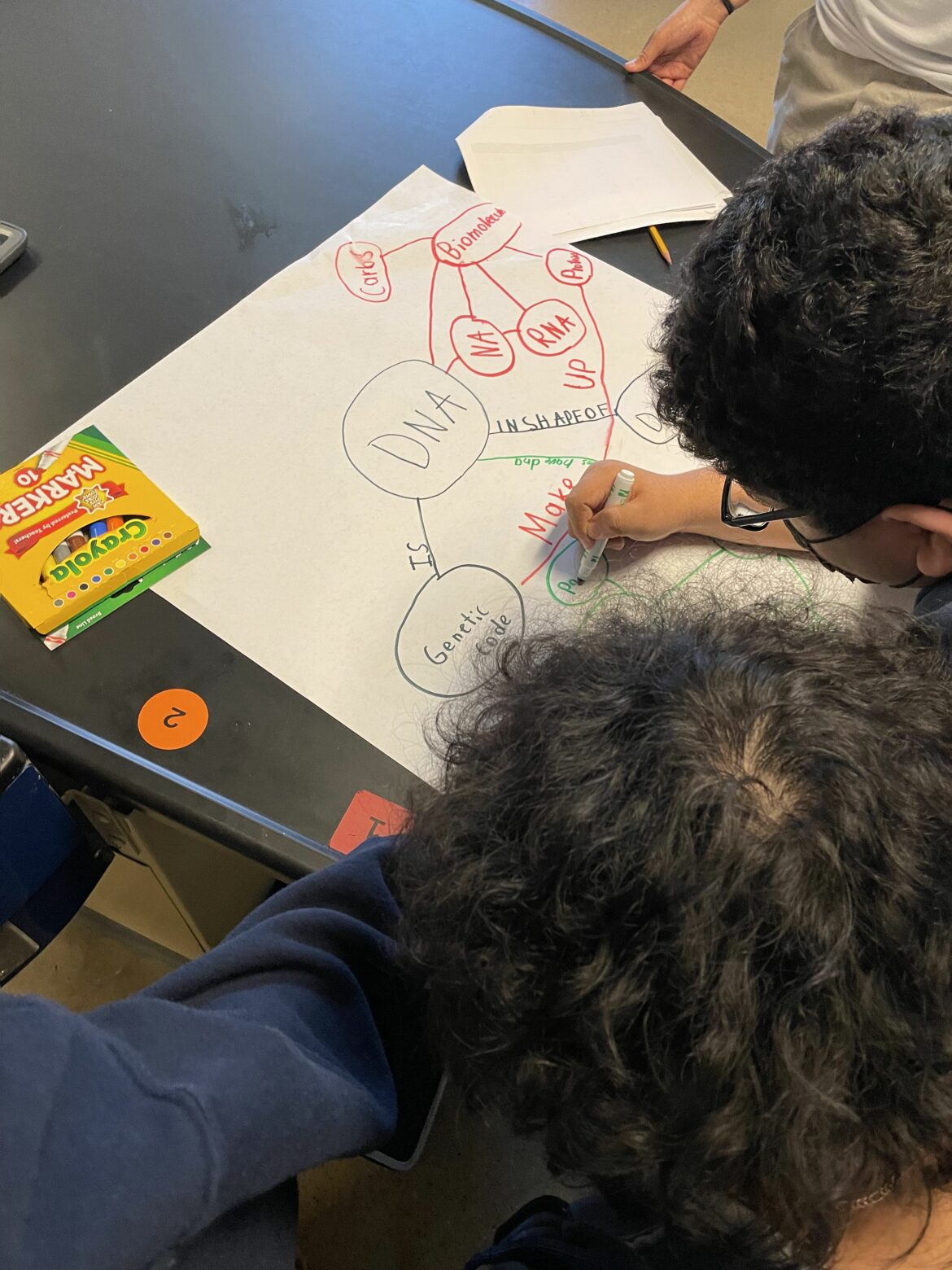 Two students work together on a mind map about DNA on a large sheet of paper at a classroom table. Various colored markers and a box of Crayola markers are visible nearby.