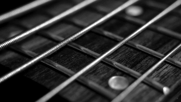 5-string bass fretboard and strings