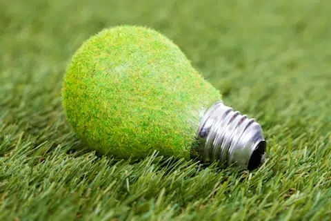 green bulb grass