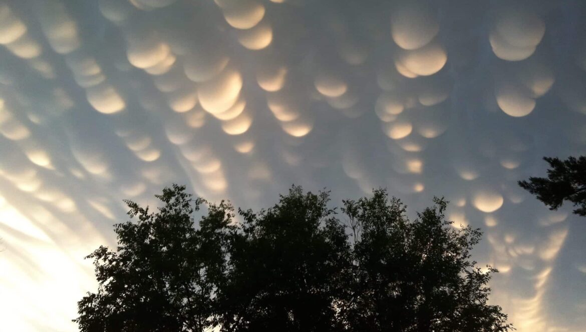 clouds trees