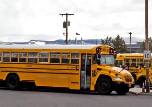 school buses