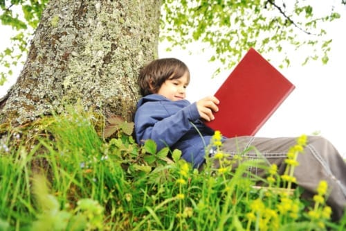 Child reading under a tree