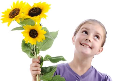 Little girl with sunflowers