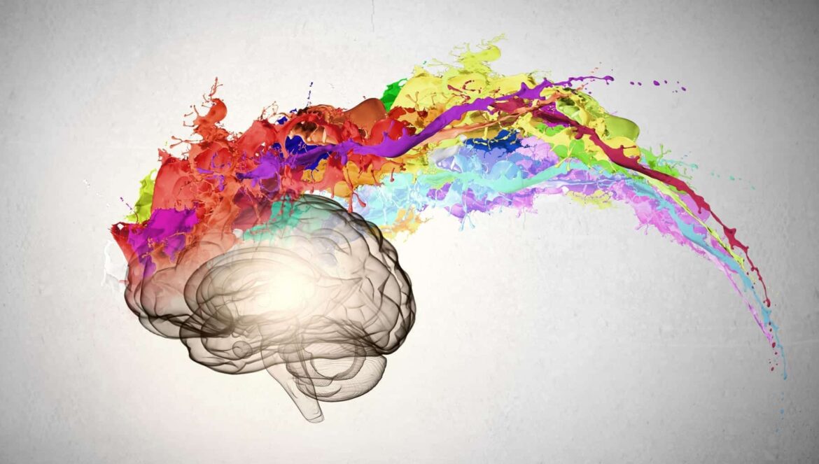 colors splash human brain