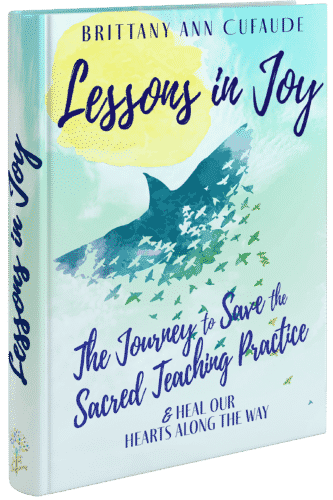 Lessons in Joy book cover