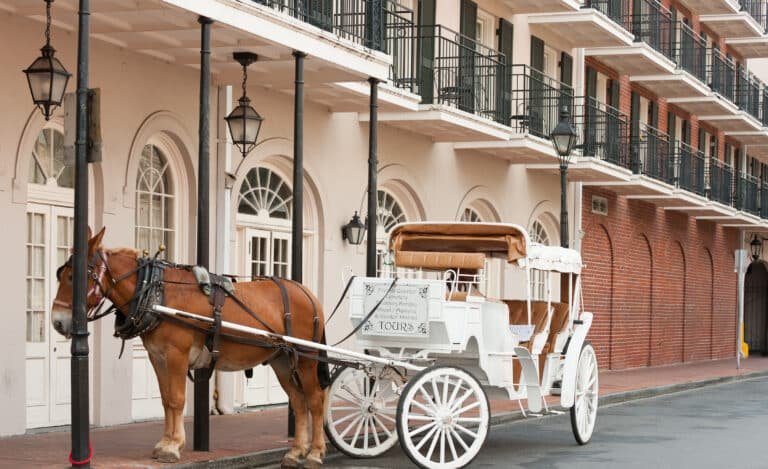 A brown horse is harnessed to a white carriage with tan seats, parked on a street in front of a building with arched doors, balconies, and wrought-iron railings.