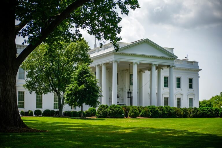 The White House in Washington DC is seen on a sunny day framed by large trees and surrounded by green grass and shrubs