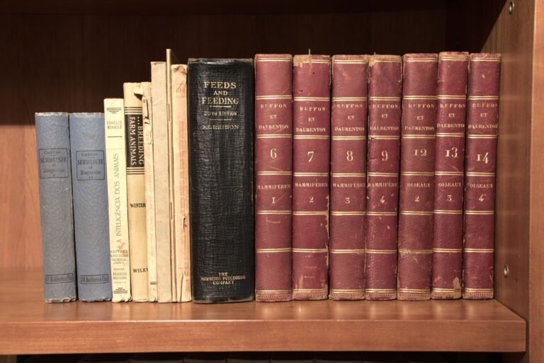 A collection of vintage hardcover books neatly arranged on a wooden shelf