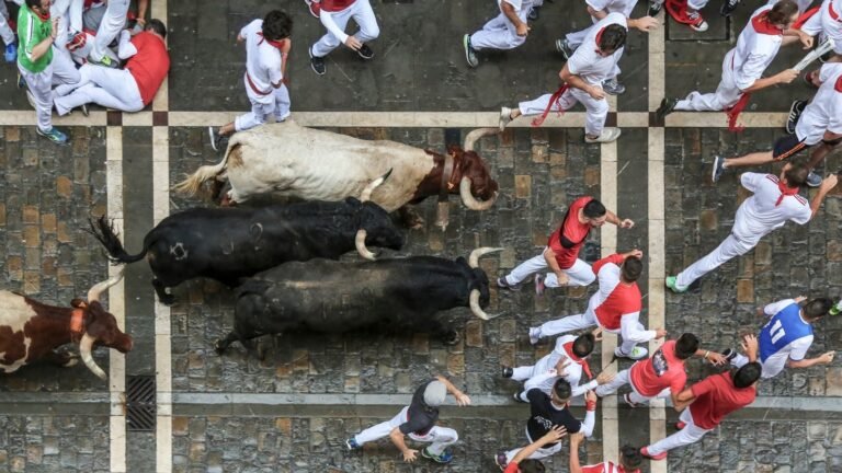 Aerial view of people running with bulls during the famous festival in Spain