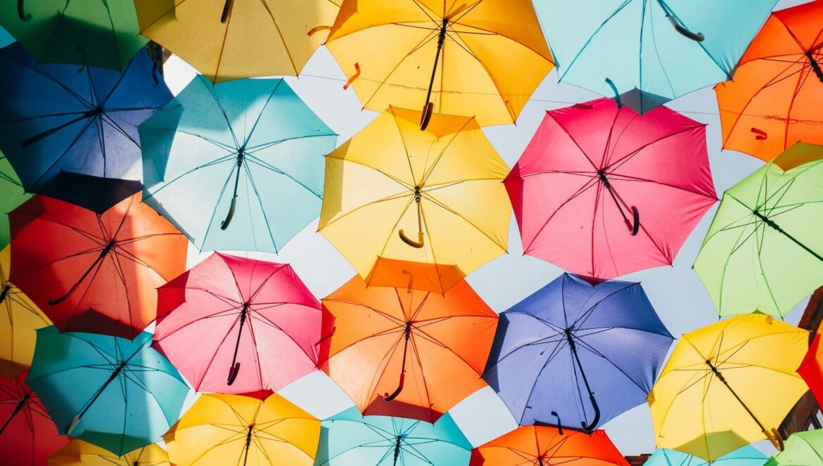 Assorted color opened umbrellas