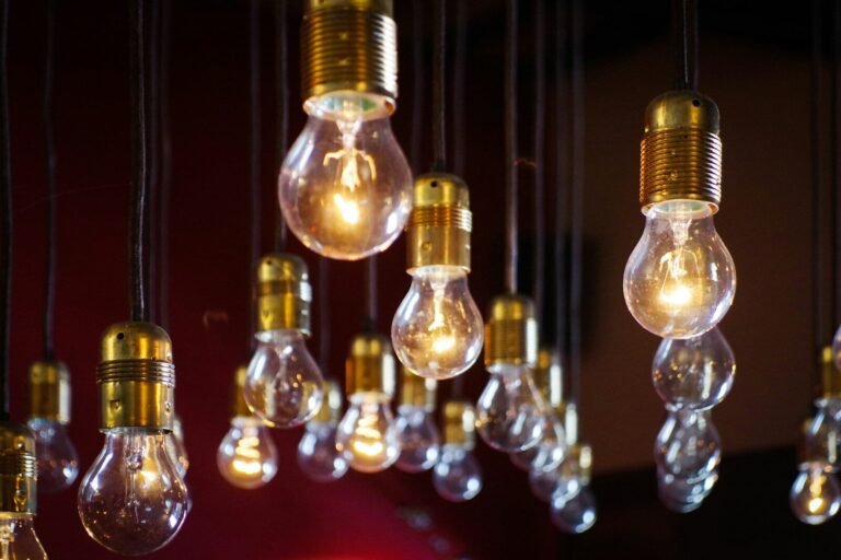 Clear light bulb lot