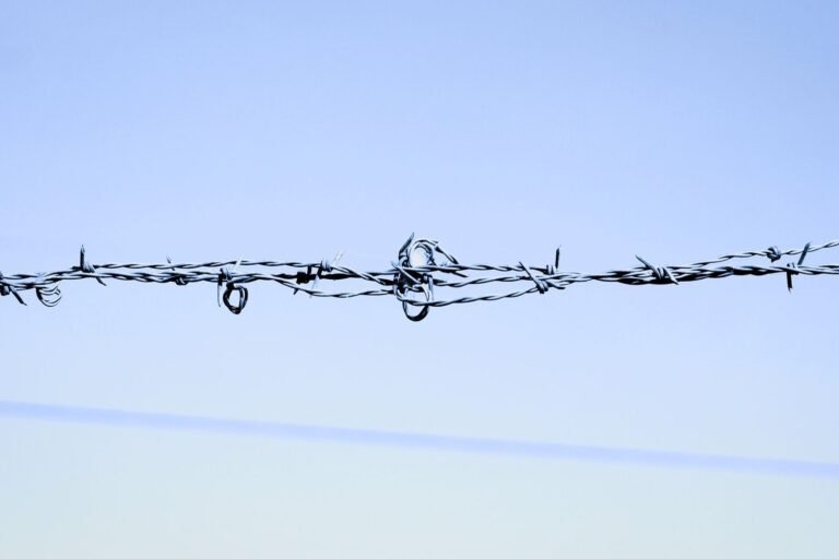 Close-up of barbed wire against a clear blue sky, showcasing sharpness and texture