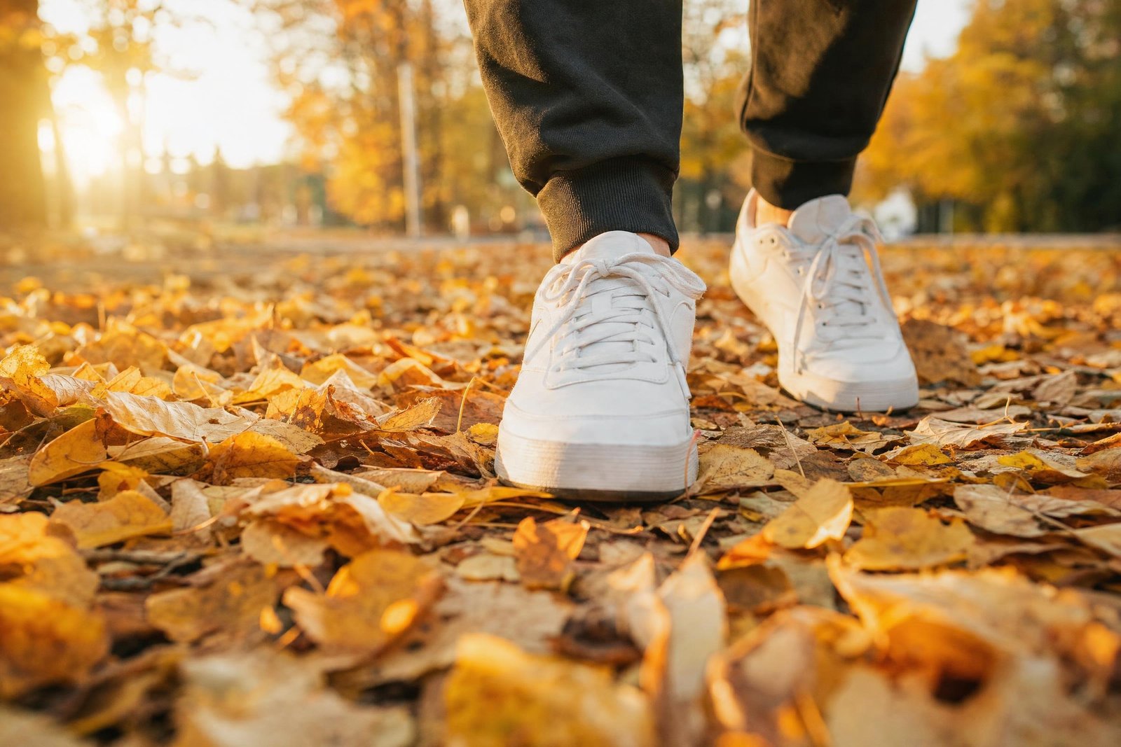 A closeup of a persons sneakers walking through a carpet of golden fallen autumn leaves on a path warm low afternoon sunlight shallow depth of field | edCircuit A close up of a persons sneakers walking through a carpet of golden fallen autumn leaves on a path warm low afternoon sunlight shallow depth of field