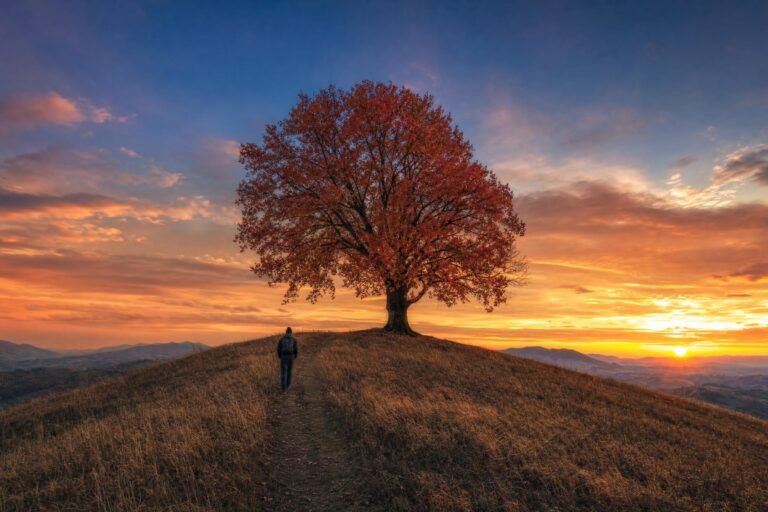 A lone tree with red autumn leaves on a grassy hilltop at sunset, a small figure walking up the hill toward it under a glowing orange and blue sky