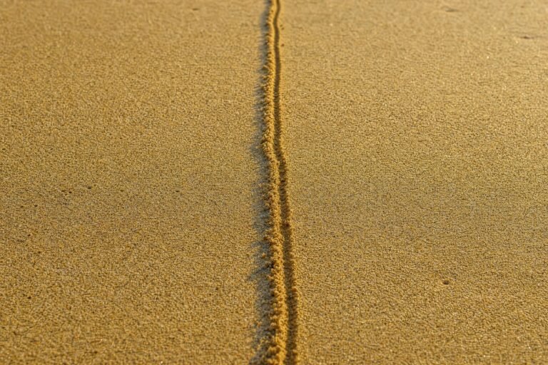 A single straight line drawn by finger across smooth golden beach sand, low angle in warm sunlight