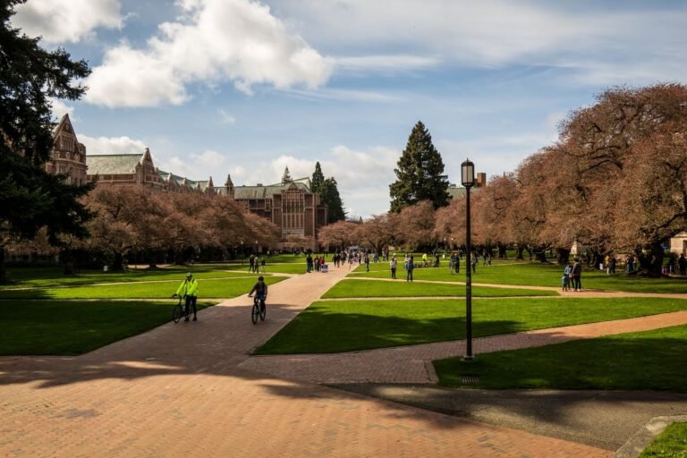 Scenic view of University of Washington campus with students and cherr