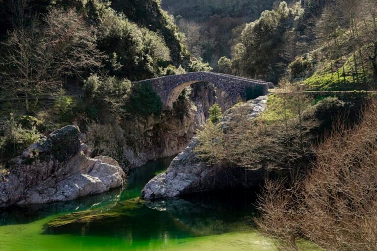 Stone bridge over a vibrant green river in a forest