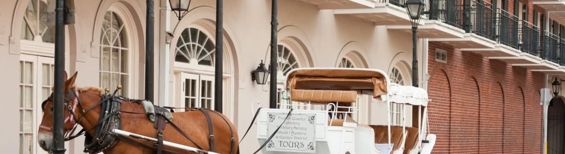 A brown horse is harnessed to a white carriage with tan seats, parked on a street in front of a building with arched doors, balconies, and wrought-iron railings.